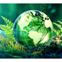 Earth's Wallet Foundation