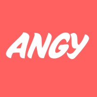 Angy logo - Similar company to Afriqueintel