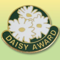 The DAISY Foundation logo - Similar company to Aacn (American Association Of Critical-Care Nurses)