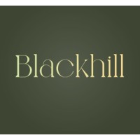 Blackhill Investments logo - Similar company to Fingage