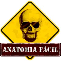 Anatomia Fácil logo - Similar company to Anatomia