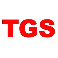 TECH GLANCE SERVICE logo - Similar company to Bluefin Solutions