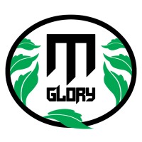 M Glory Holding logo - Similar company to Ecotranzit