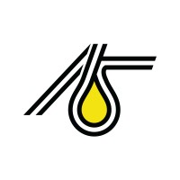Auto Solutions logo - Similar company to Richmond Security, Inc.