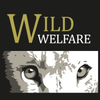 Wild Welfare logo - Similar company to Getep - Inovação E Qualidade De Pescado