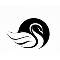 Black Swan VFX Studios logo - Similar company to Vfx Tech