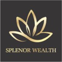 Splenor Wealth Management Pvt Ltd logo - Similar company to Modi Wealth Management