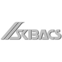 Skibacs logo - Similar company to Minds Matter Seattle