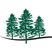 White Pine Senior Living, Comforts of Home, Gracewood Senior Living & Olive Grove Hospice logo - Similar company to Networkers Funding, Llc
