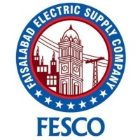 FESCO (Faisalabad Electric Supply Company) Faisalabad, Punjab-Pakistan logo - Similar company to Autobots Solutions
