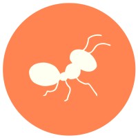 Les Fourmis logo - Similar company to The Coda School