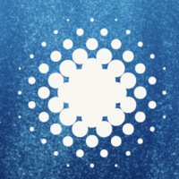 BlueBeat Group logo - Similar company to Orcanation