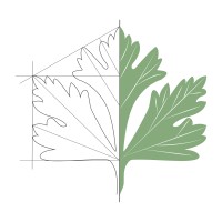 Fancy Parsley Architecture + Design logo - Similar company to Dxdempsey