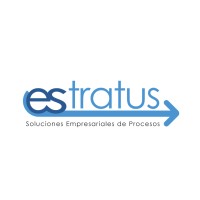 Estratus Group logo - Similar company to Vmc Solutions