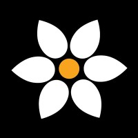Spatikal logo - Similar company to Regenerative Studios