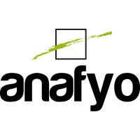 Anafyo SAGL logo - Similar company to Synton Srl