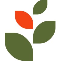 Backstory logo - Similar company to Webtools