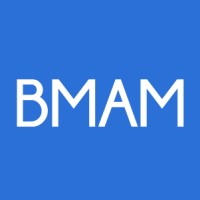 Bull Market Asset Management logo - Similar company to Evolve Group