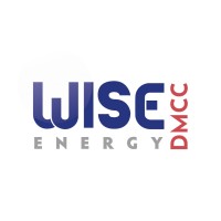 WISE ENERGY DMCC logo - Similar company to Wise Energy Solutions