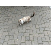 M logo - Similar company to M