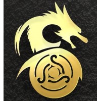 Draco Capital logo - Similar company to Draco Evolution