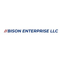 Bison Enterprise logo - Similar company to Kemesys