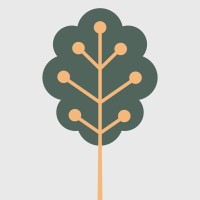 Brainwise
