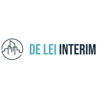 De Lei Interim logo - Similar company to Imagemaker