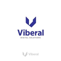 Viberal Digital Solutions logo - Similar company to Fyndus Infotech Private Limited