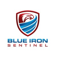 Blue Iron Sentinel logo - Similar company to Databased