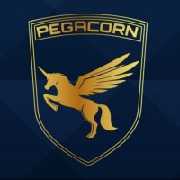 Pegacorn Automotive Pvt Ltd logo - Similar company to Mefferdi