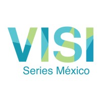 VISI Series México S.A. de C.V. logo - Similar company to Visi Series México