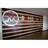 Bambanani Pipes & Fittings (Pty) Ltd logo - Similar company to Switch Innovation