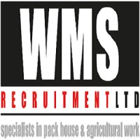 WMS Recruitment Ltd