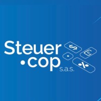Steuer Consultant
