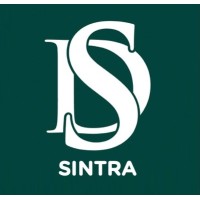 Decisões e Soluções Sintra logo - Similar company to Threatvector