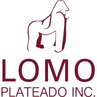 LOMO PLATEADO INC logo - Similar company to Anapsa Agencia Nacional