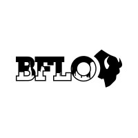 BFLO Consulting Solutions LLC logo - Similar company to Poolsupplies.Com
