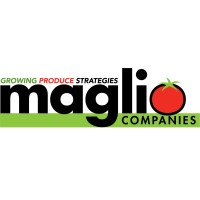 Maglio Companies logo - Similar company to Sopakco Inc.