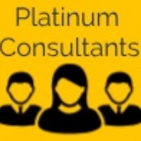 Platinum Consultants logo - Similar company to Senseplugin