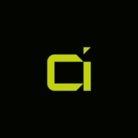 Dattion Business Intelligence logo - Similar company to Bis Analytics