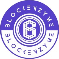 Blockenzyme logo - Similar company to Fxuav Technologies