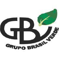 Grupo Brasil Verde logo - Similar company to Work Team Eletromecânica E Comércio