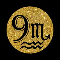 9 Muses Clinic logo - Similar company to Nexving Infotech