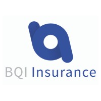 BQI Insurance logo - Similar company to Jmg Group