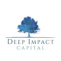 Deep Impact Capital logo - Similar company to Cbci, Llc