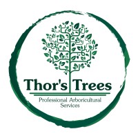 Thor's Trees logo - Similar company to Simpson Arboriculture Ltd