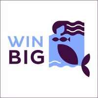 WIN-BIG project logo - Similar company to Roundgoby
