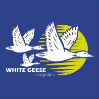 White Geese Logistics logo - Similar company to Ristar Logistics Pvt Ltd