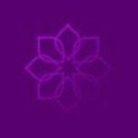 Luz logo - Similar company to Vision Space